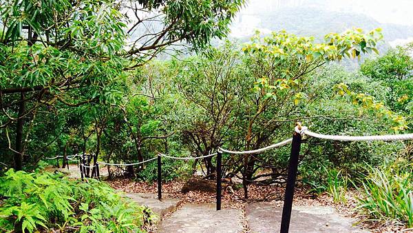 金面山步道～隨拍