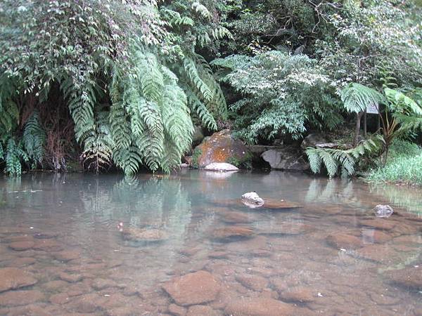 陽明公園