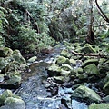 三芝區二平頂古道～溪流