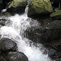 三芝區二平頂古道～溪流