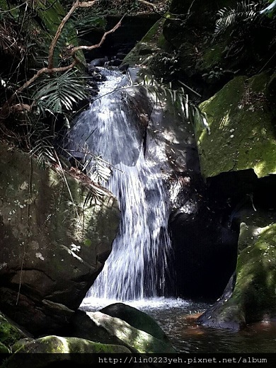 大溝溪生態治水園區