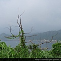 潮境公園~海岸隨拍