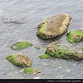 潮境公園~海岸隨拍