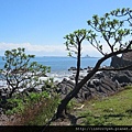 東北角海岸 