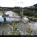 坪林新橋