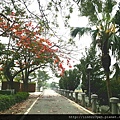 高雄龍華橋~大順一路(河濱公園)