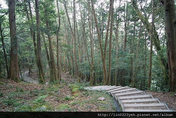 樂山林道~隨拍