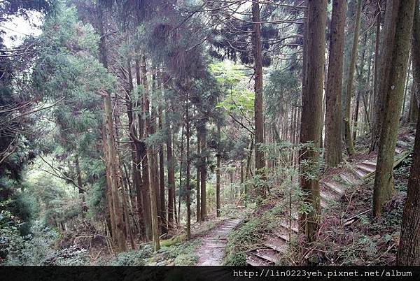 樂山林道~隨拍