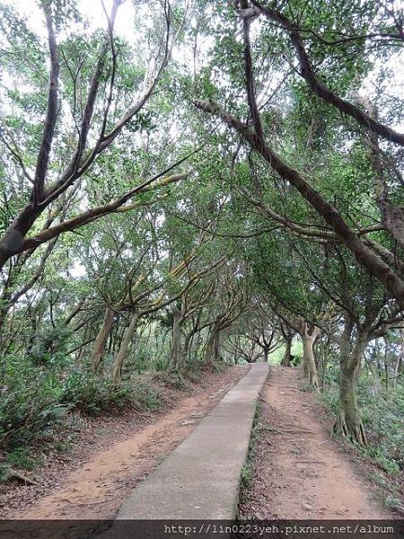 桃園市~虎頭山公園2018-2-25