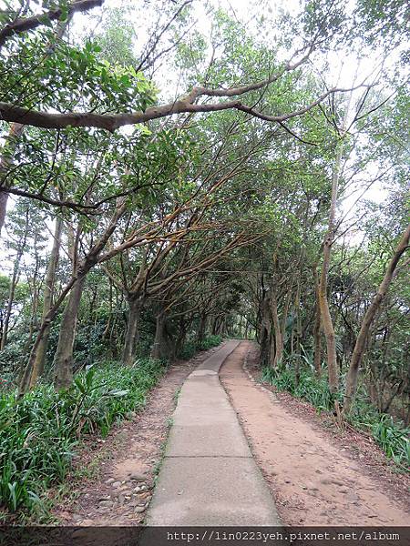 桃園市~虎頭山公園2018-2-25