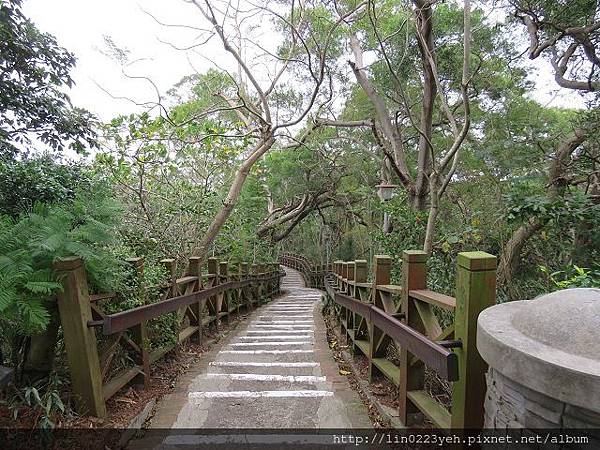 新竹市十八尖山公園~隨拍2017-12-31