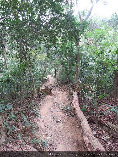 新竹市十八尖山公園~隨拍2017-12-31