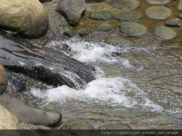 2018-4-22~明舉山親山步道