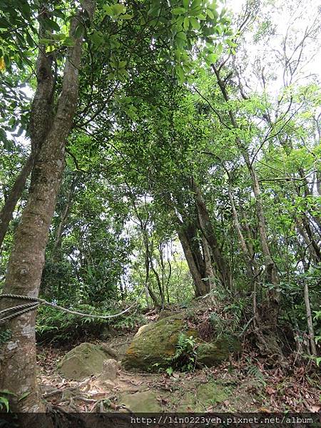 2018-4-22~明舉山親山步道