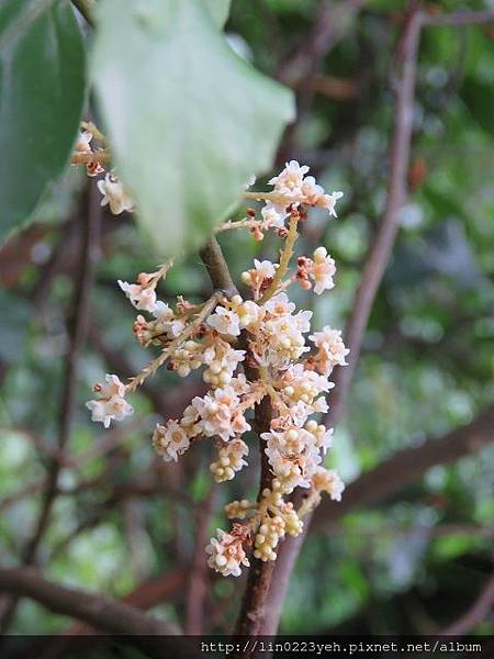 2018-4-22~內溝山步道