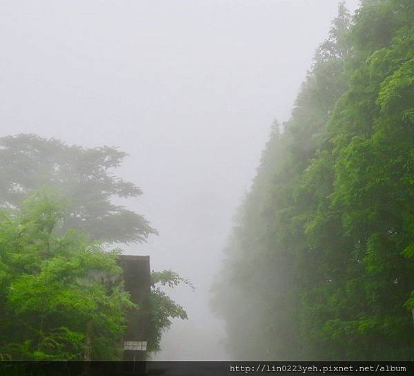 2018-6-3~陽明山(雨中景)