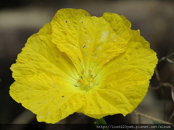 2018-6-10~碧湖步道