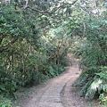 2018-10-21~大崙頭尾山親山步道 