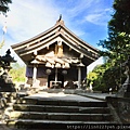 日本🇯🇵白兔🐰神社⛩️