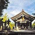 日本🇯🇵白兔🐰神社⛩️