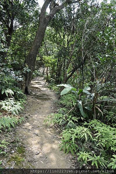 明舉山親山步道～109-3/8