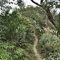 明舉山親山步道～109-3/8