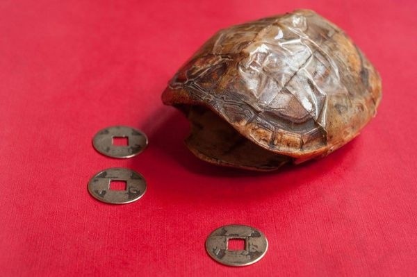 卜卦可問什麼事