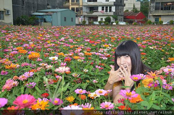 桃園花彩節[蘆竹場]