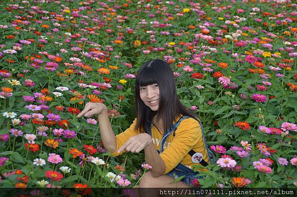 桃園花彩節[蘆竹場]