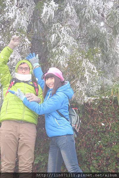 太平山森林遊樂區