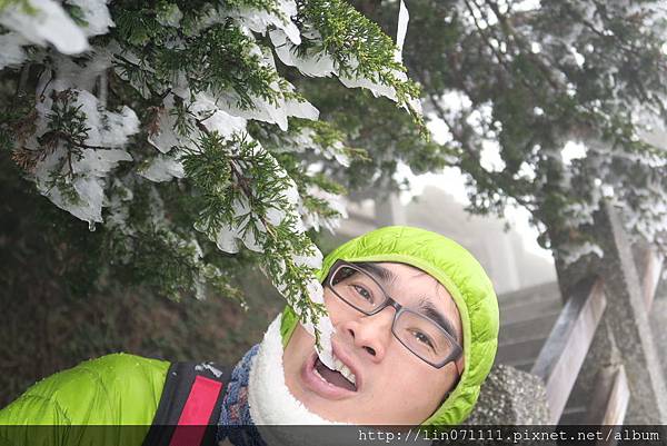 太平山森林遊樂區