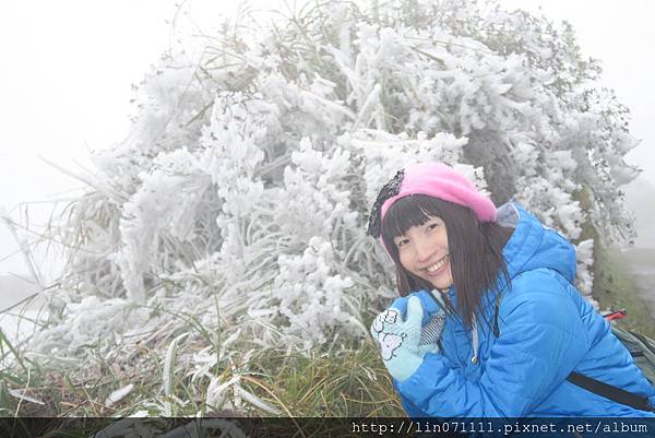 太平山森林遊樂區