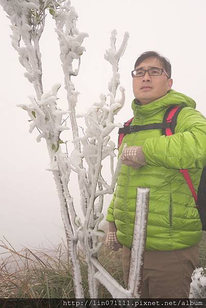 太平山森林遊樂區