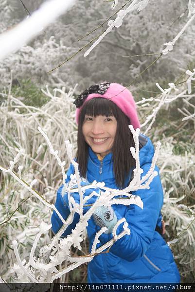 太平山森林遊樂區