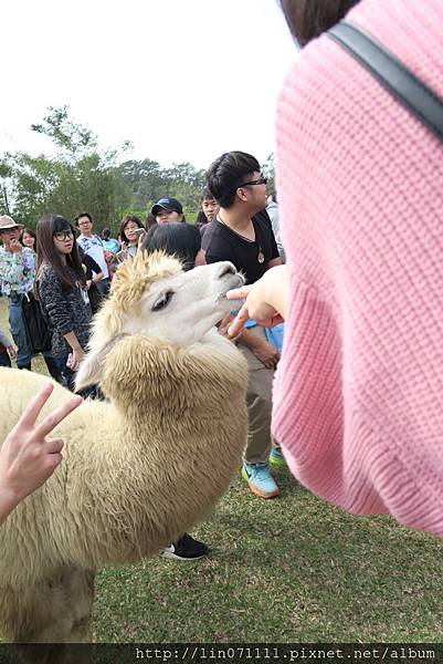 綠世界生態農場