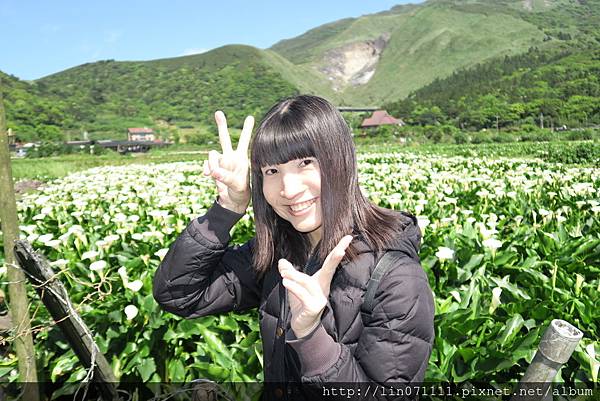 陽明山竹子湖花谷派出所