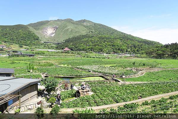 陽明山竹子湖花谷派出所