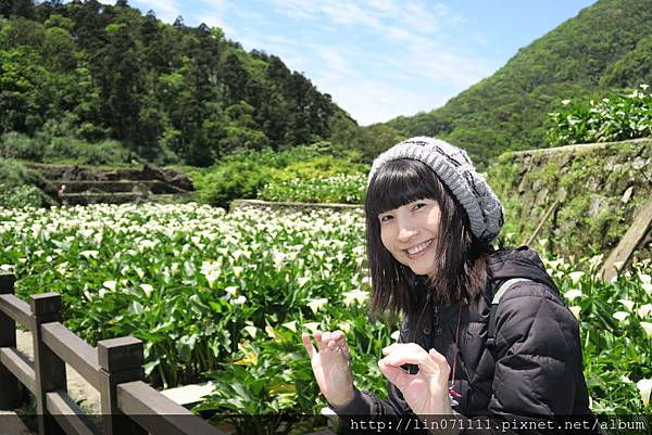 陽明山竹子湖