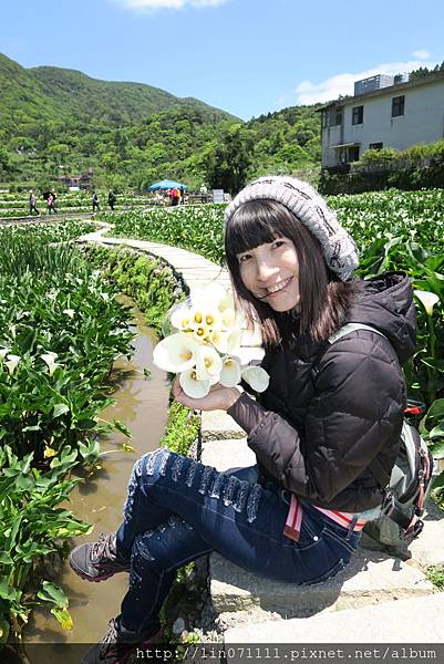 陽明山竹子湖