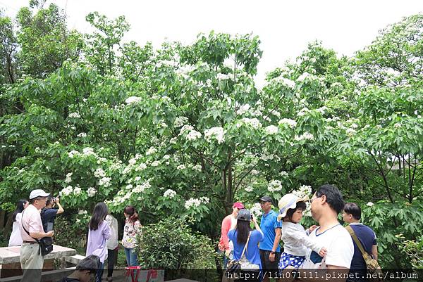 湖口仁和步道