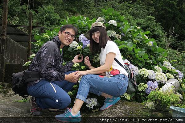 高山青農場