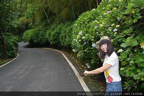 高山青農場