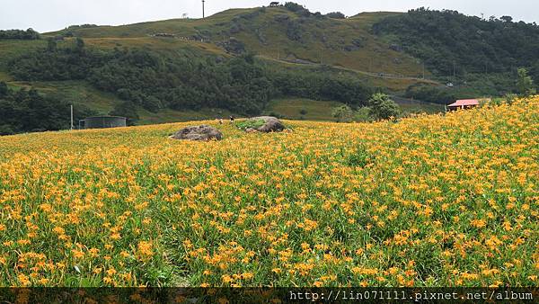 花蓮六十石山