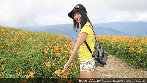 花蓮六十石山