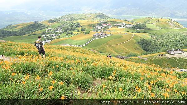 花蓮六十石山