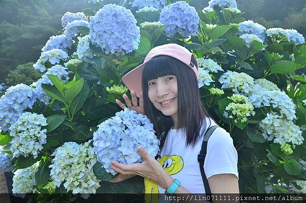 高家繡花田