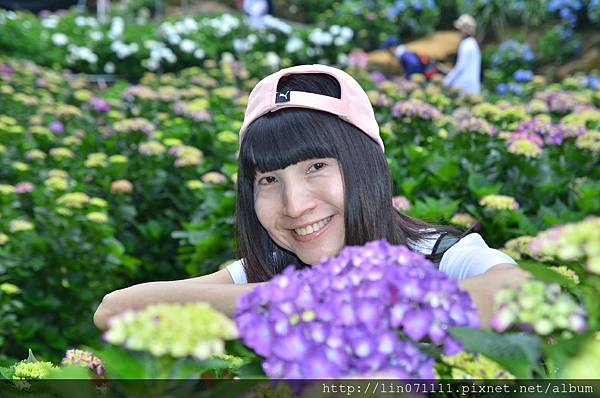 高家繡花田