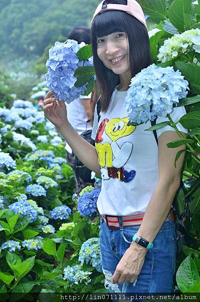 高家繡花田