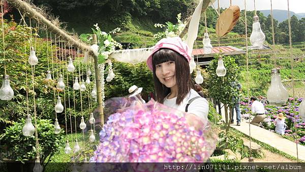 大梯田花卉生態農園