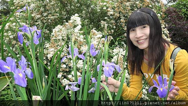 六號花園